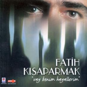 Download track Mavi Gül Fatih Kısaparmak