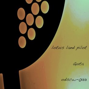 Download track Elect Lotus Land Pilot