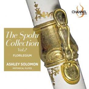 Download track Quantz: Flute Concerto In D Major, QV 5: 41: II. Più Tosto Andantino Florilegium, Ashley Solomon