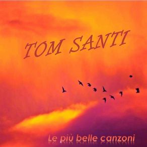 Download track Il Coraggio Tom Santi