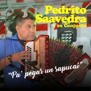 Download track Quiero Tu Mensajito Pedrito Saavedra