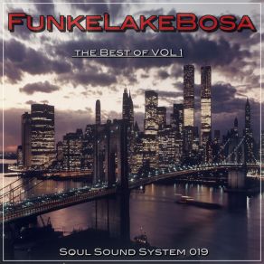 Download track Funky Vibes Of Mystery FunkeLakeBosa