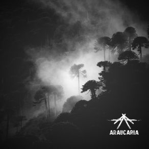 Download track 8Mg Araucaria