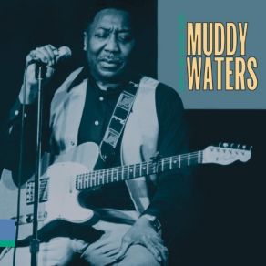 Download track I'M A King Bee Muddy Waters