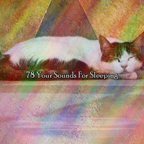 Download track Highlighting The Sleep Spa Music Natural White Noise Sound Therapy