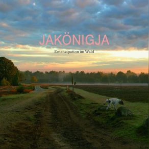 Download track Polar JaKoenigJa