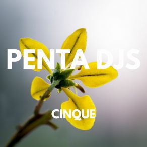 Download track Radunoe Penta Djs