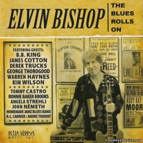 Download track Black Gal Elvin Bishop