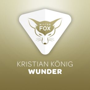 Download track Wunder (Video Edit) Kristian König