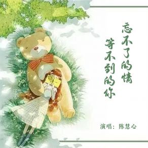 Download track 忘不了的情等不到的你 (女版伴奏) 陈慧心