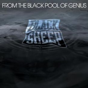 Download track Party Tonight Black SheepJean Grae