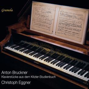 Download track Kitzler-Studienbuch (Excerpts) Fantasie No. 1 In D Minor, WAB 215 Christoph Eggner