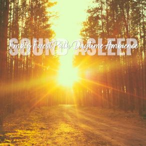 Download track Empty Forest Path Daytime Ambience, Pt. 9 Elijah Wagner