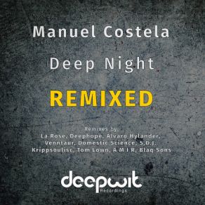 Download track When You Had It (A M I R Remix) Manuel Costela