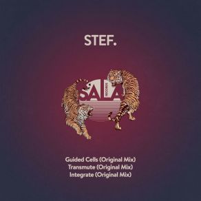 Download track Guided Cells (Original Mix) Stef