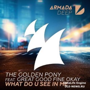 Download track What Do U See In Me The Golden Pony