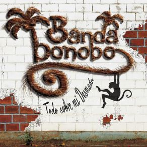 Download track Mi Tiempo Banda Bonobo