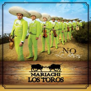 Download track Solo Ella Sabe Porque Mariachi Los Toros