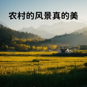 Download track 农村的风景真的美 (伴奏) 白宁