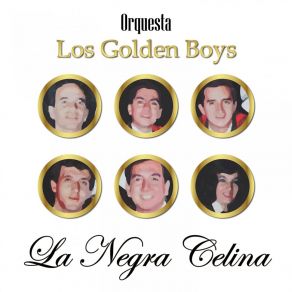 Download track Mosaico No. 6 (Amor Del Jibarito, El Brujo De Arjona, Las Colombianas, Pájaro Amarillo) Orquesta Los Golden Boys