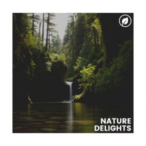 Download track Essential Nature And Music, Pt. 1 Worldwide Nature Studios