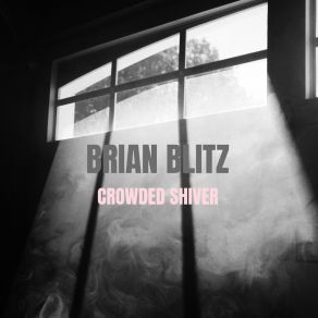 Download track Stirred Party Brian Blitz