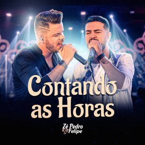 Download track Traição Não Tem Perdão (Ao Vivo) Zé Pedro E Felipe