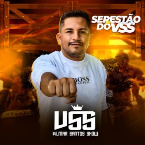 Download track Desapaixonou Vilmar Santos Show