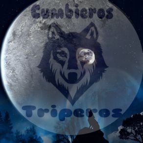 Download track Tripero Como Mi Viejo Cumbieros Triperos