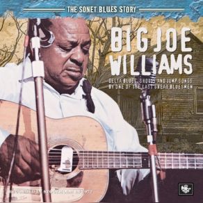 Download track Do The Mess Around Big Joe Williams