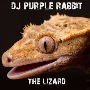 Download track The Lizard DJ Purple Rabbit