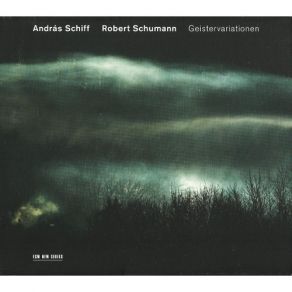 Download track 14. Piano Sonata No. 1 In F Sharp Minor -Grosse Sonate- Op. 11 - 2. Aria Robert Schumann