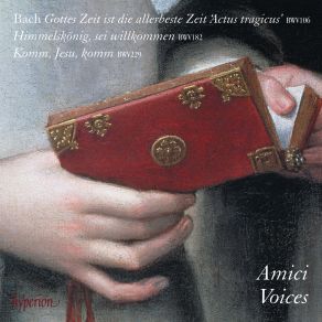 Download track Himmelskönig, Sei Willkommen, BWV 182 V. Aria. Leget Euch Dem Heiland Unter Amici Voices