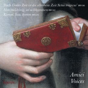 Download track Himmelskönig, Sei Willkommen, BWV 182 VIII. Chorus. So Lasset Uns Gehen In Salem Der Freuden Amici Voices