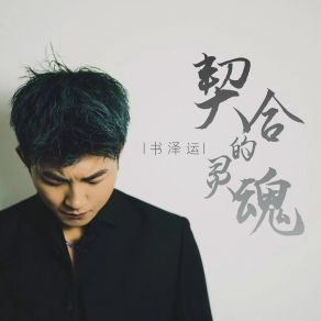 Download track 契合的灵魂 书泽运