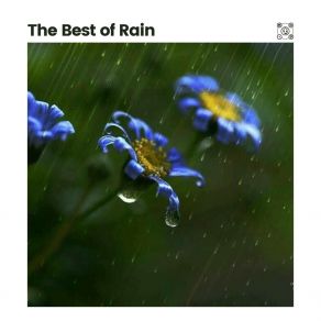 Download track Beautified Rain Recording Nature