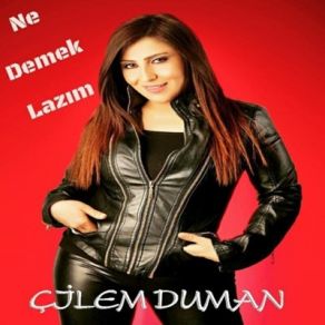 Download track Ne Demek Lazım Çilem Duman