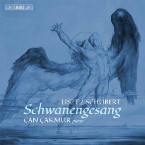Download track Schwanengesang, S. 560 (After Schubert's D. 957): No. 3, Aufenthalt Can Çakmur