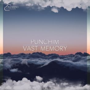 Download track Envout (Original Mix) Punchim