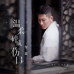 Download track 温柔碎成伤口 Chen Xi