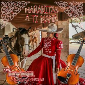 Download track Amor De Madre Trio Juvenil Hidalguense