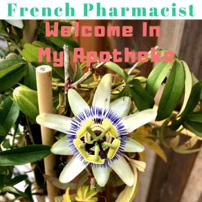 Download track Come Back When You Want French Pharmacist
