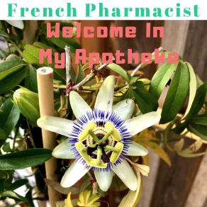 Download track Blue Or Green Pill French Pharmacist