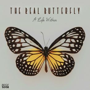 Download track Music Solution The Real Butterfly