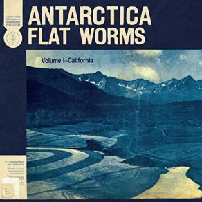 Download track Wet Concrete Flat Worms