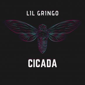 Download track Neredesin Lil Gringo