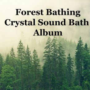 Download track Summer Evening Forest Bathing Crystal Sound Bath Ezra Alya