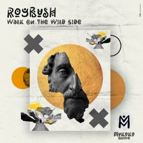 Download track Walk On The Wild Side (Extended Mix) Roybush