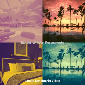 Download track Swanky Moods For Hotel Lounges Music For Hotels Vibes