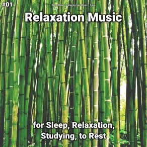 Download track Relaxation Music, Pt. 55 Yoga